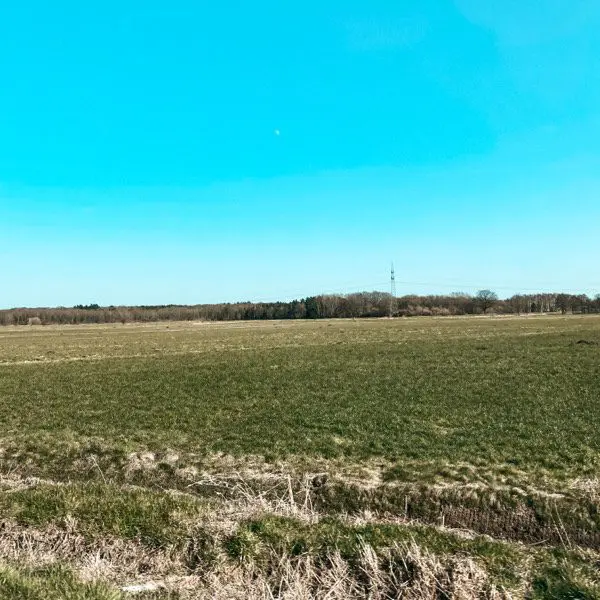 Typisches Marschbild - Feld mit Bäumen in der Ferne 