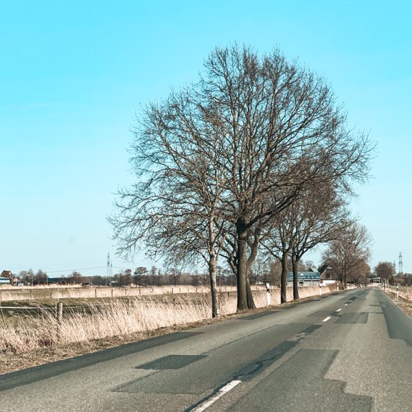 'Geflickte' Straße mit Bäumen auf der linken Seite 
