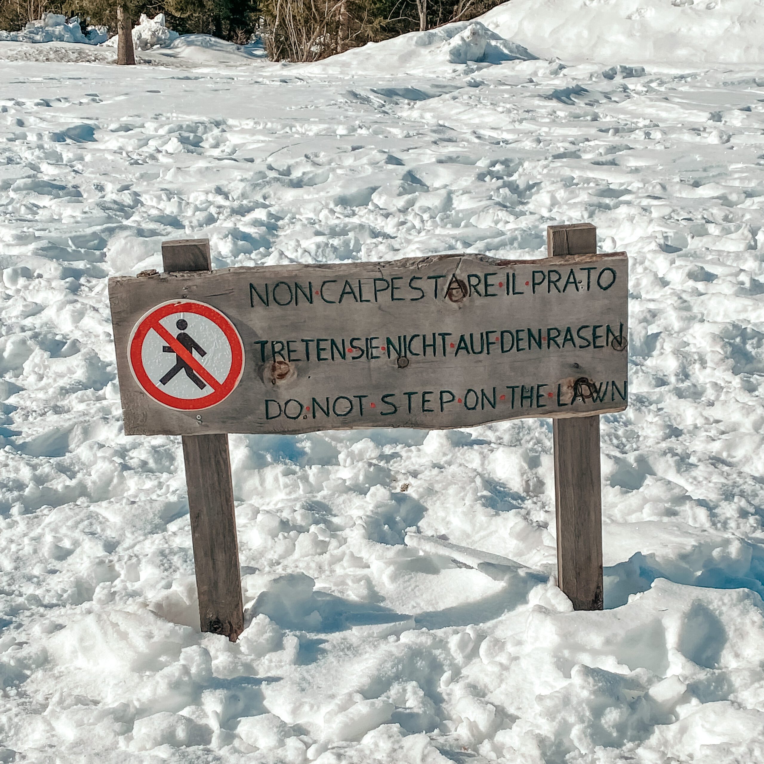 Holzschild im Schnee mit Text: Treten sie nicht auf den Rasen
